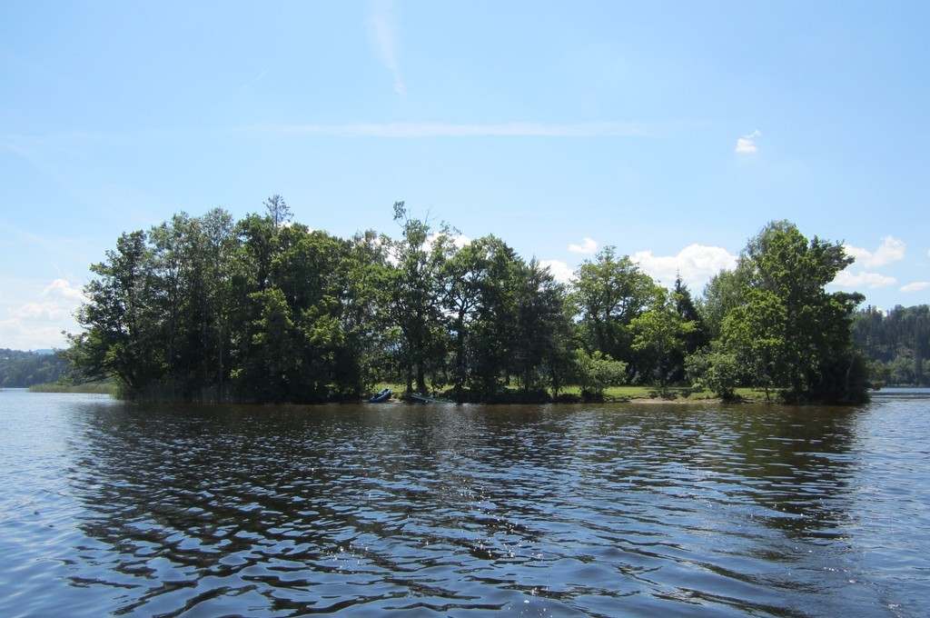 Staffelsee Insel Kleine Birke.jpg